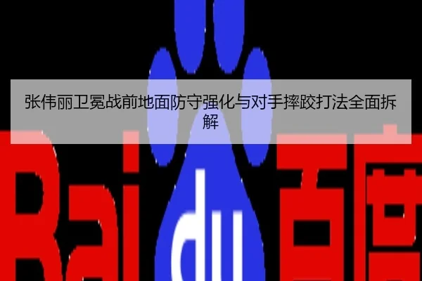 张伟丽卫冕战前地面防守强化与对手摔跤打法全面拆解